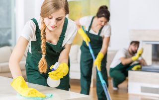 Keep Your House Spotless With Expert Cleaning Services