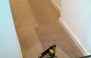 Dry or Wet Carpet Cleaning? Which is Better?