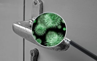 Bacteria on a door knob in a London home