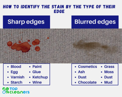 Ultimate Stain Removal Guide: Everything You Need to Know